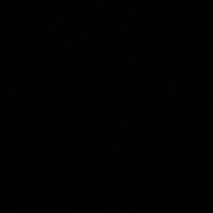 Meet your Posher, Avemaia